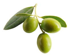Olives